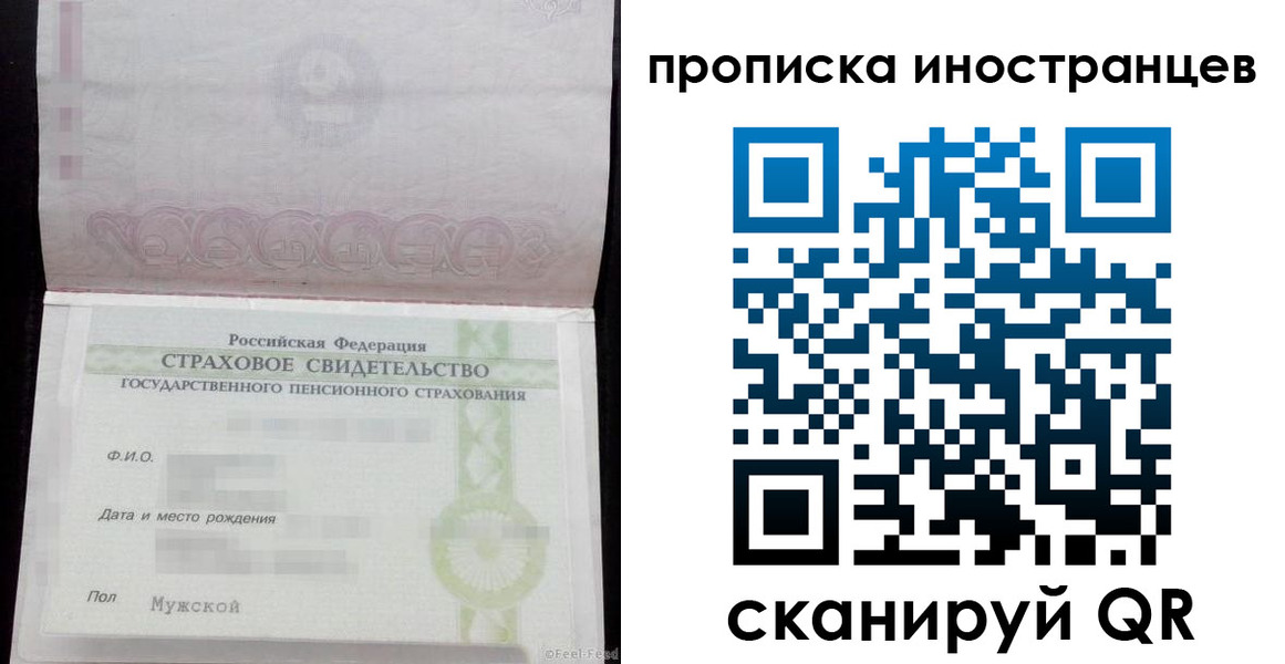 прописка гарантия в Железногорске